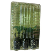 Live Craig's Grande Jalapeño Pepper Plant 3-6 inches – Organic Large Spicy Pepper Seedling for Home Garden