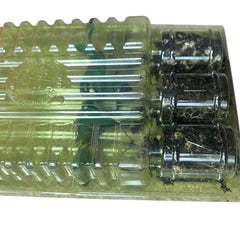 Live Tam Jalapeño Pepper Plant 3-6 inches – Organic Medium Spicy Hot Pepper Seedling for Home Garden