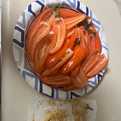 Live Pumpkin Spice Jalapeño Pepper Plant 3-6 inches – Organic Spicy Pepper Seedling for Home Gardens