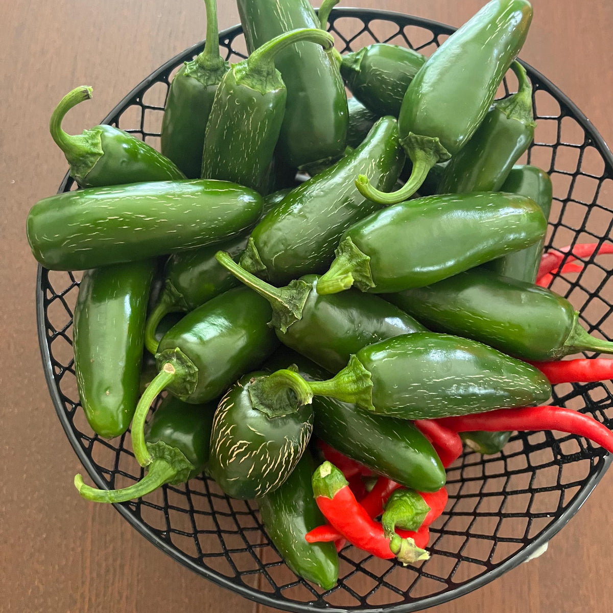 Live Zapotec Jalapeño Pepper Plant 3-6 inches – Organic Medium-Spicy Pepper Seedling for Home Garden