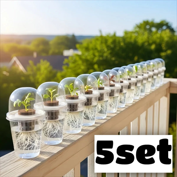 5set Germination Cup Visible Clear Plant Nursery Growing Box Indoor Garden Greenhouse Seed Starter Tray Transparent Root ViewCup